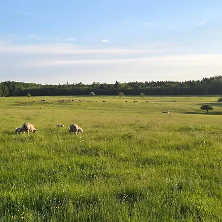 Paisible Avec Jardin Et Possibilité D'animaux à Gruey-lès-surance - Fr-1-589-814 *